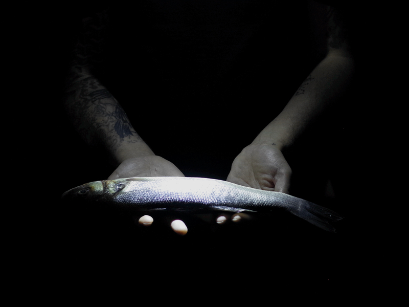 Mark Greenwood at Action Poetry